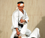 柳川昌弘の理 伝授！武道空手シリーズ 応用編 （DVD）